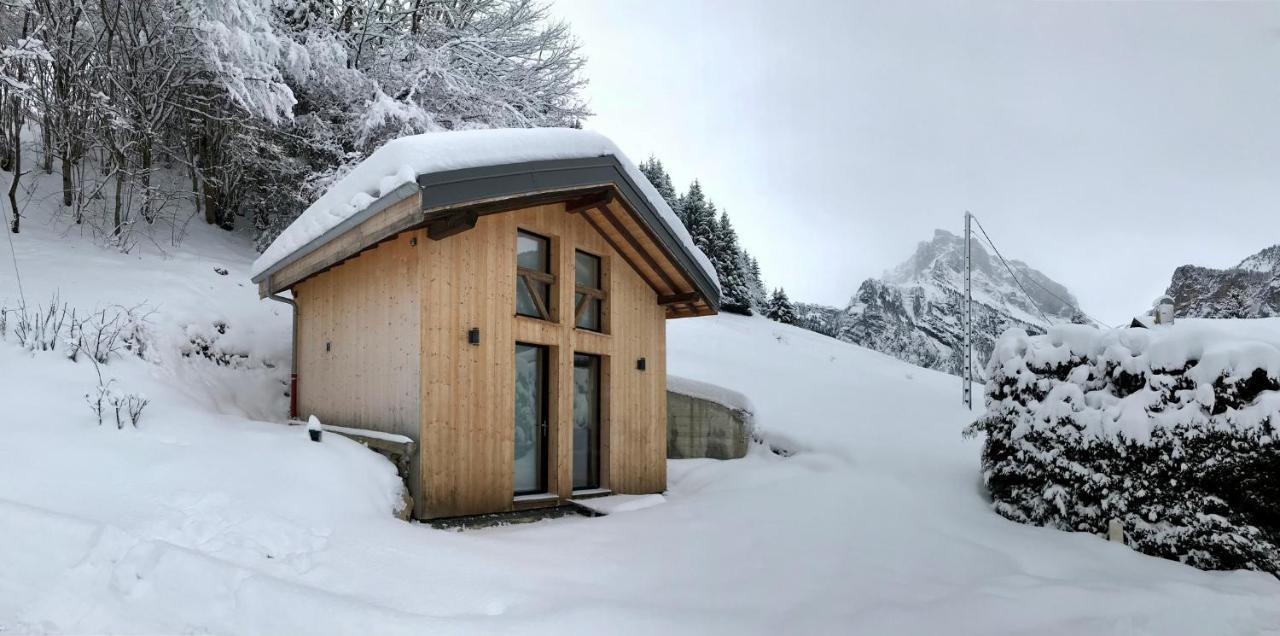 Chalet*** Au Pied D'Une Prairie Face A La Montagne Sixt-Fer-a-Cheval Экстерьер фото