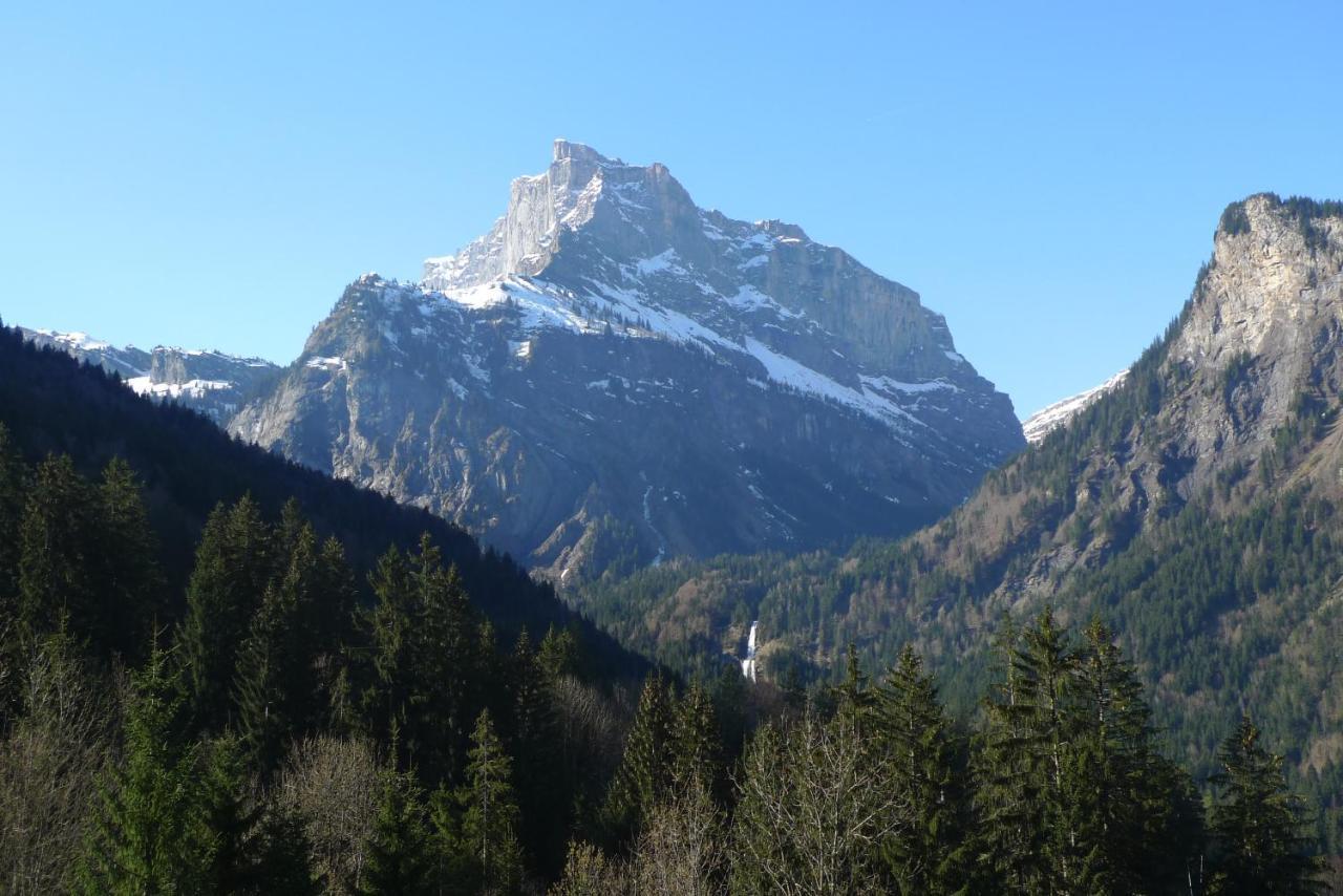 Chalet*** Au Pied D'Une Prairie Face A La Montagne Sixt-Fer-a-Cheval Экстерьер фото