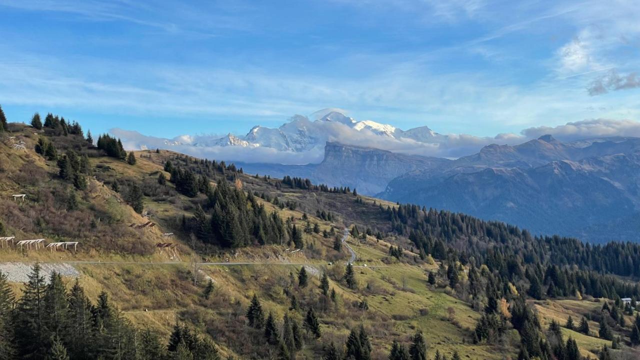 Chalet*** Au Pied D'Une Prairie Face A La Montagne Sixt-Fer-a-Cheval Экстерьер фото
